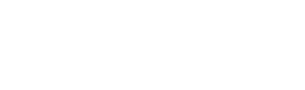 The Nomi Club